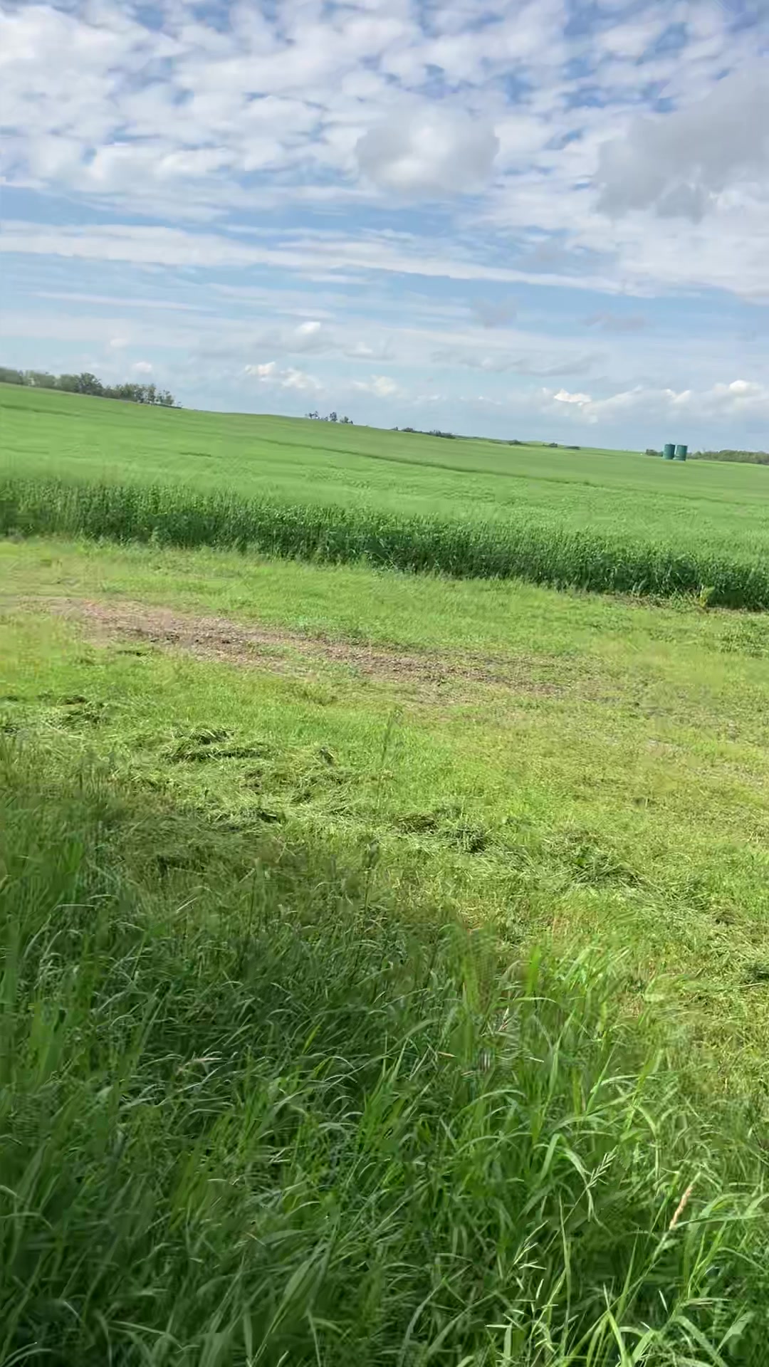 @bf48farmer