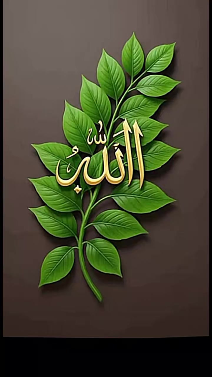 @Dua fatima