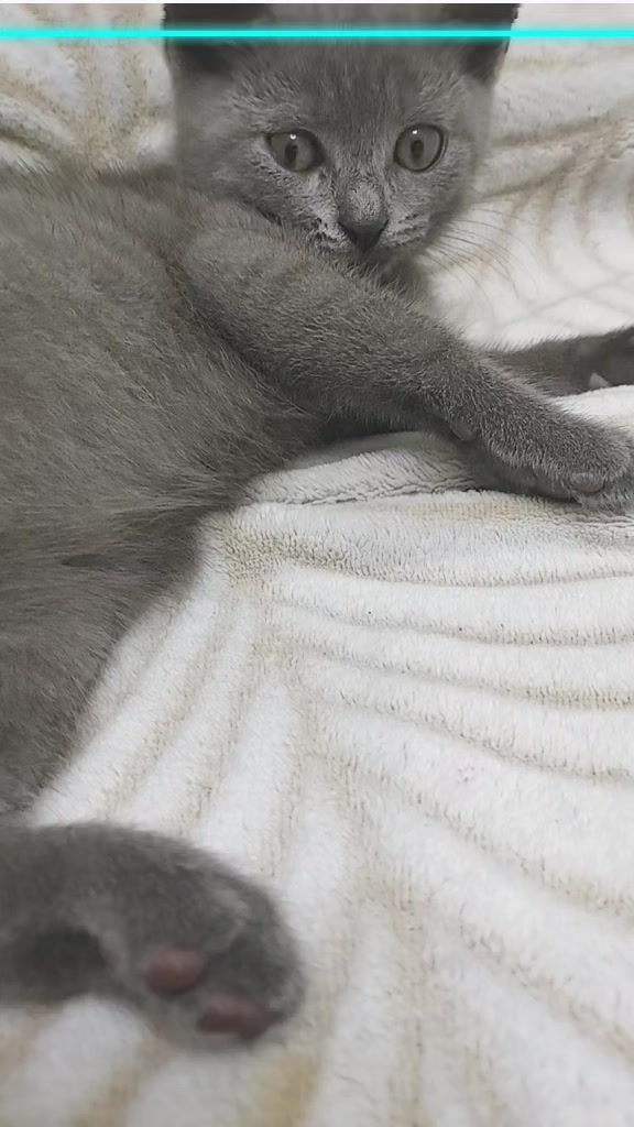 @билли