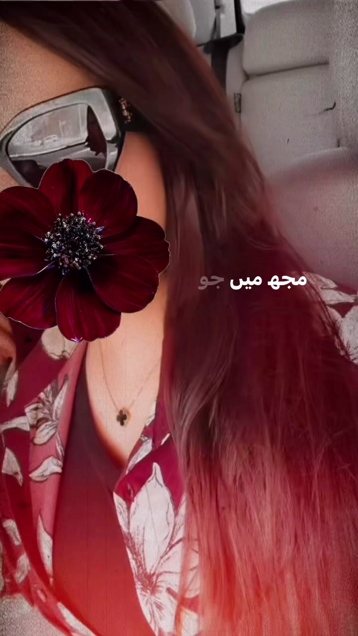 @bixkit100 🍪