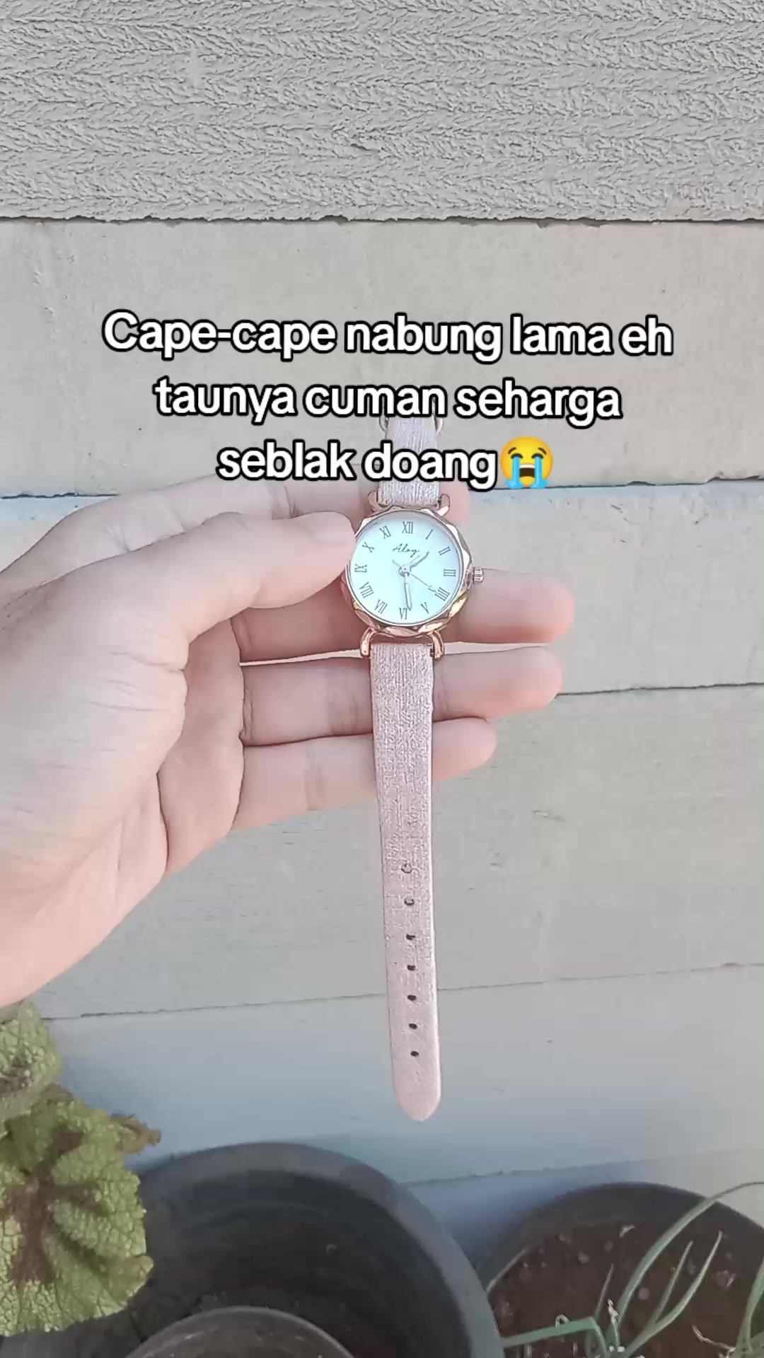 @S-tetik 🛒
