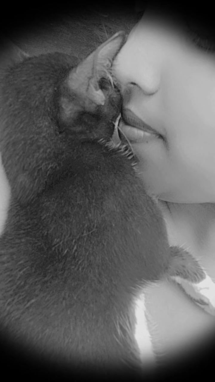 @Janu 💔💔❤️&zwj;🩹💔💔