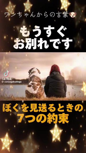 @๐ฆ๐ใฌใณใกใใ๐ฆ๐