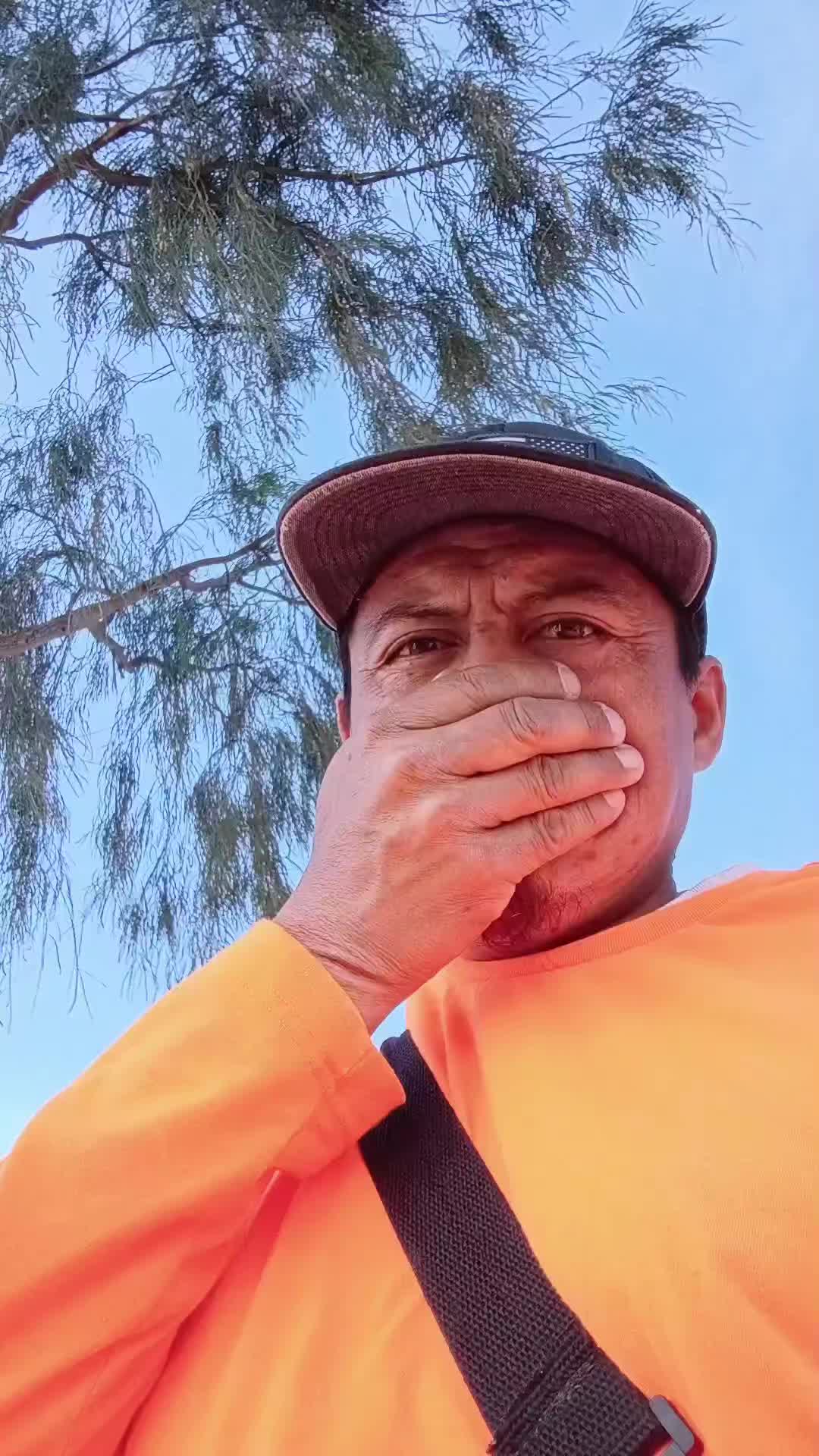 @&Eacute;L ca&iacute;do