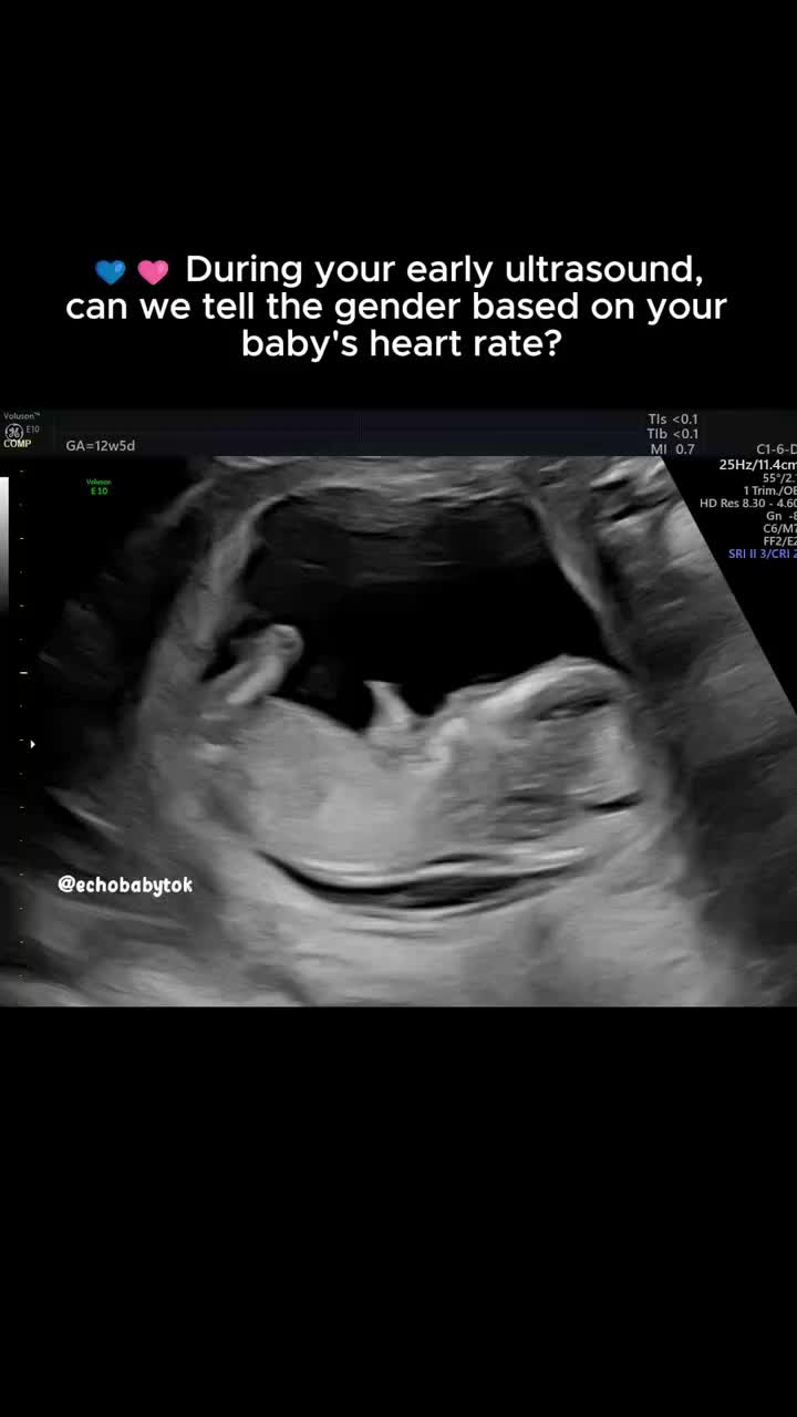 @Echobaby