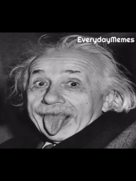 @EverydayMemes