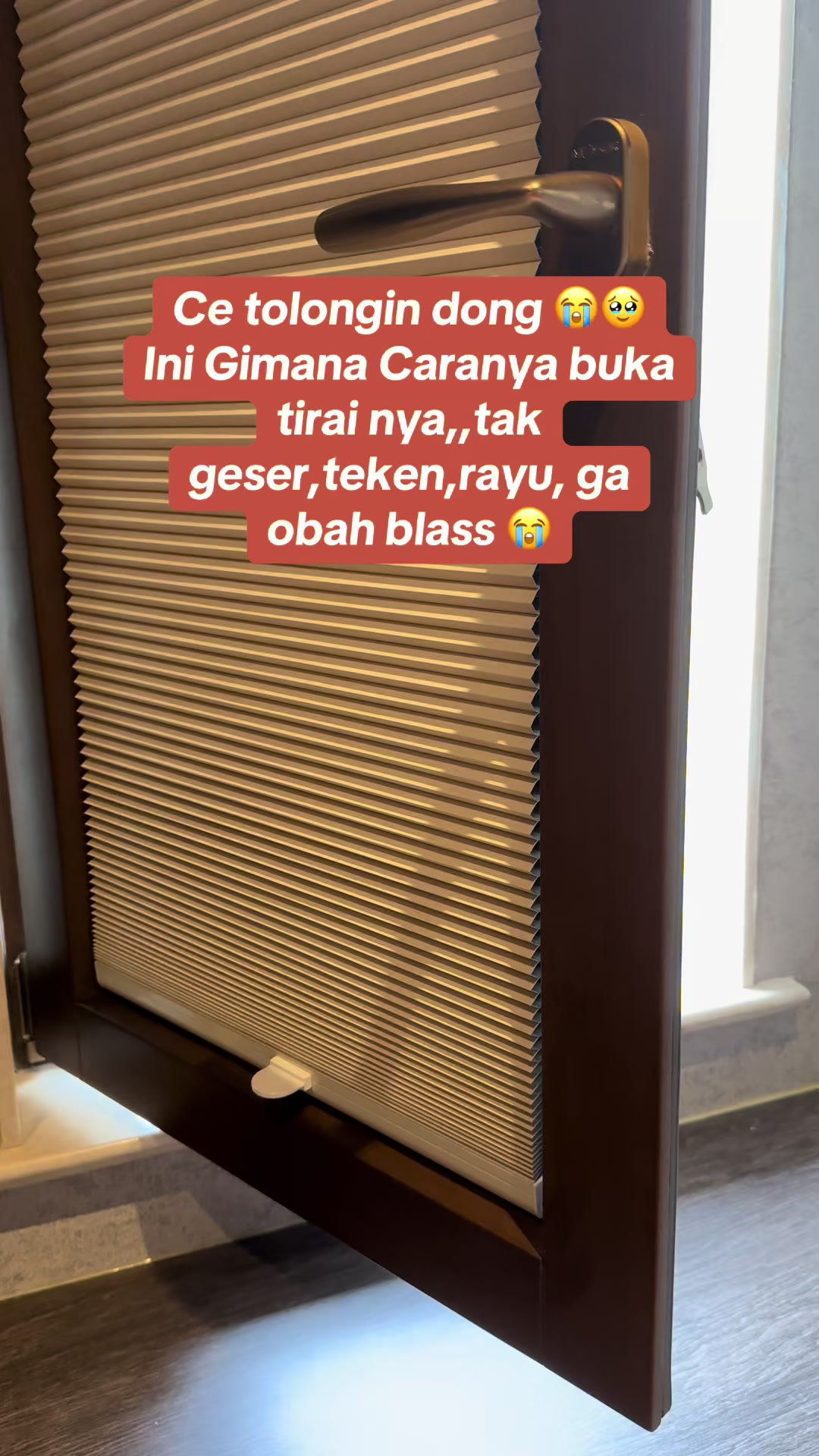 @moa_chiw