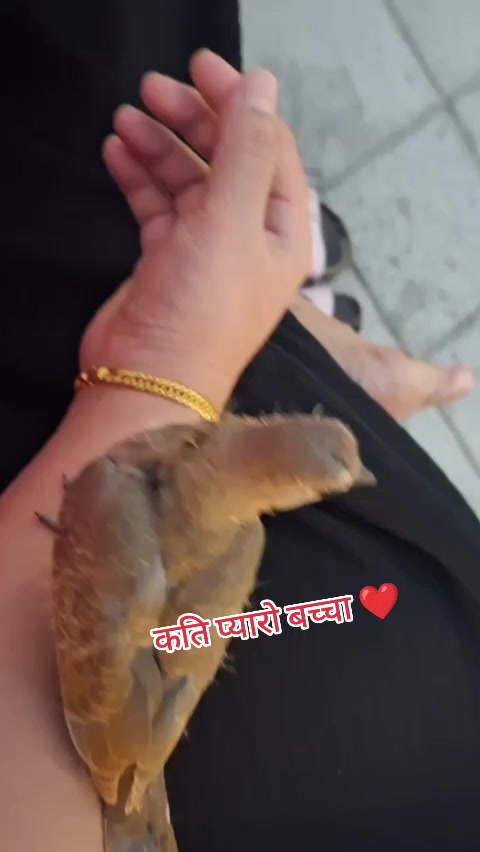 @सोनुको ममि ❤️🥰