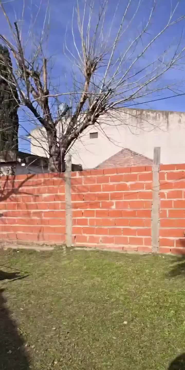 @ruchyy