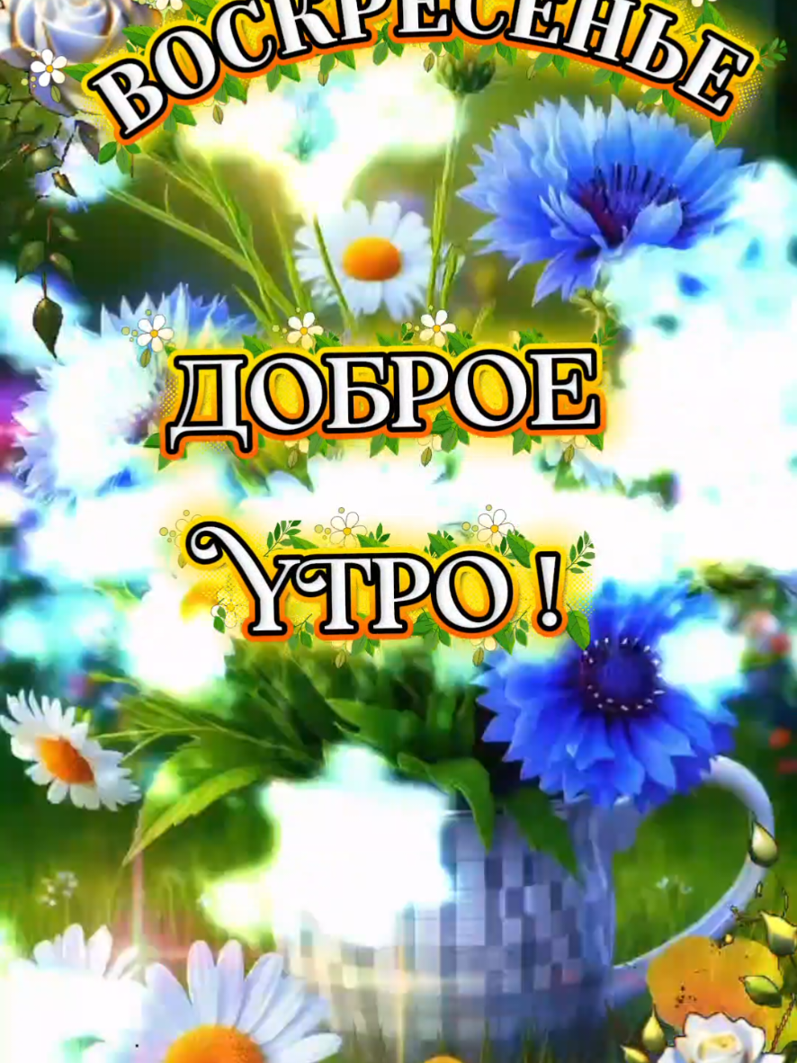 @🇧🇾 Магер Елена ♈