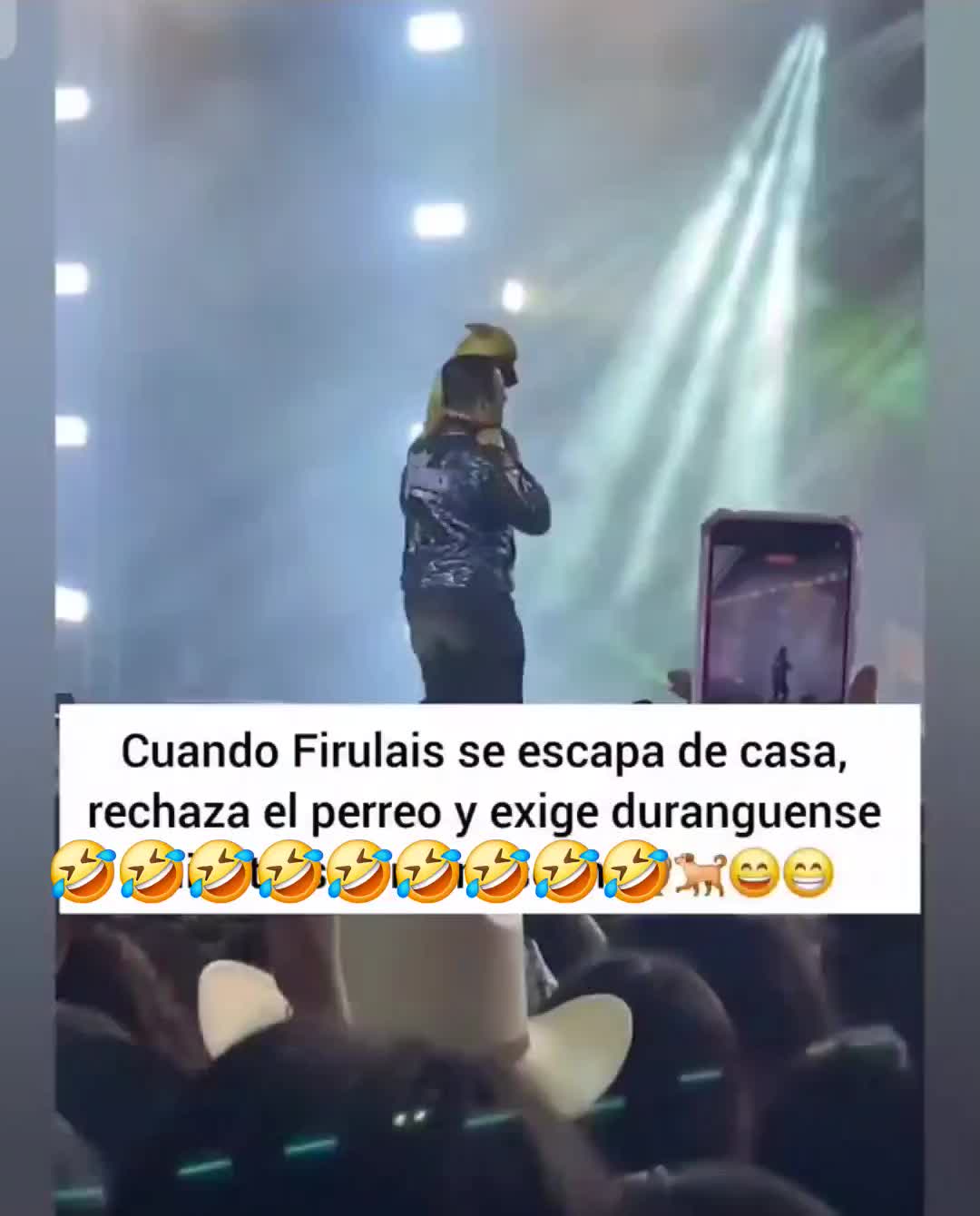 @chapischapis