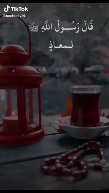 @مريوماااات 🌳🌿🌱💚