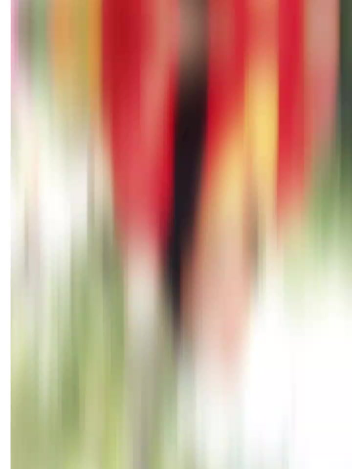 @A๐ซถR๐น๐๐๐ณ๐ต๐ฅ๐๐๐ค๐ค♥๏ธ