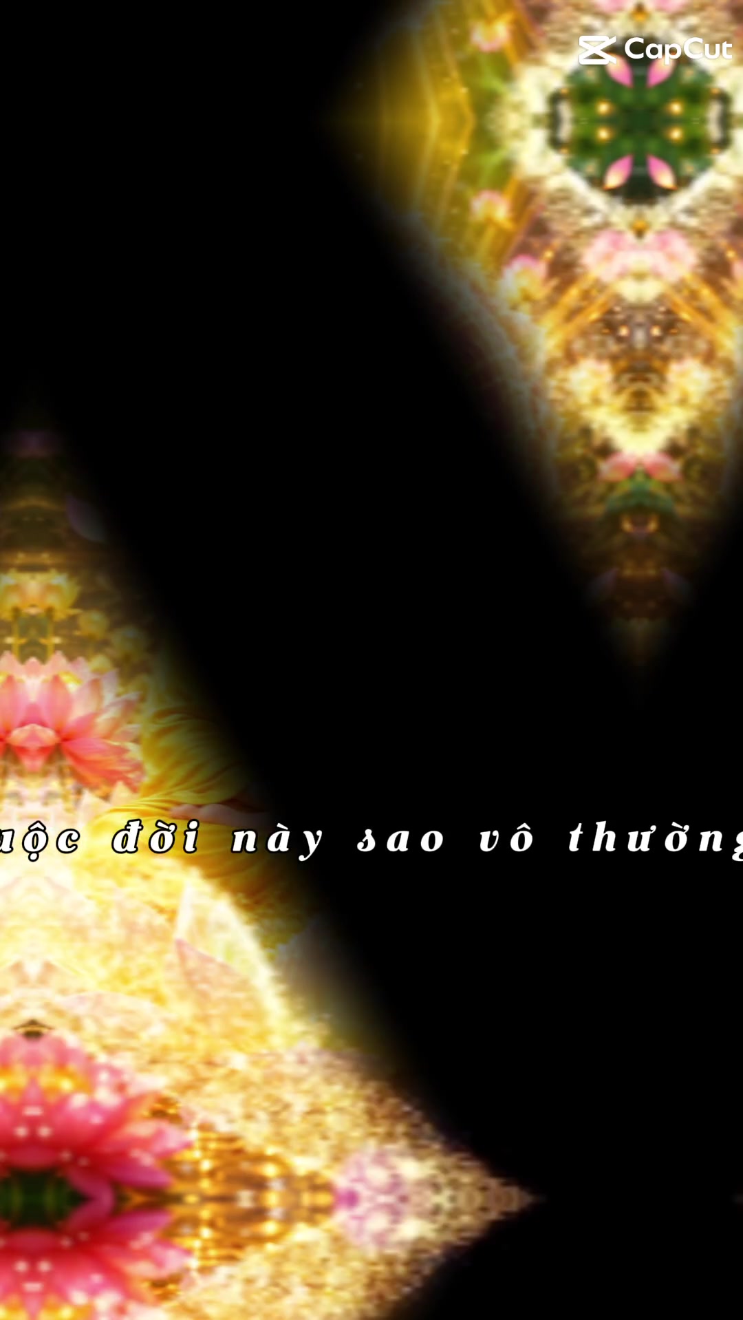 @nguyễn dung