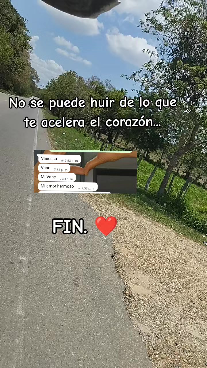 @V a n e S i e r r a L z 💕