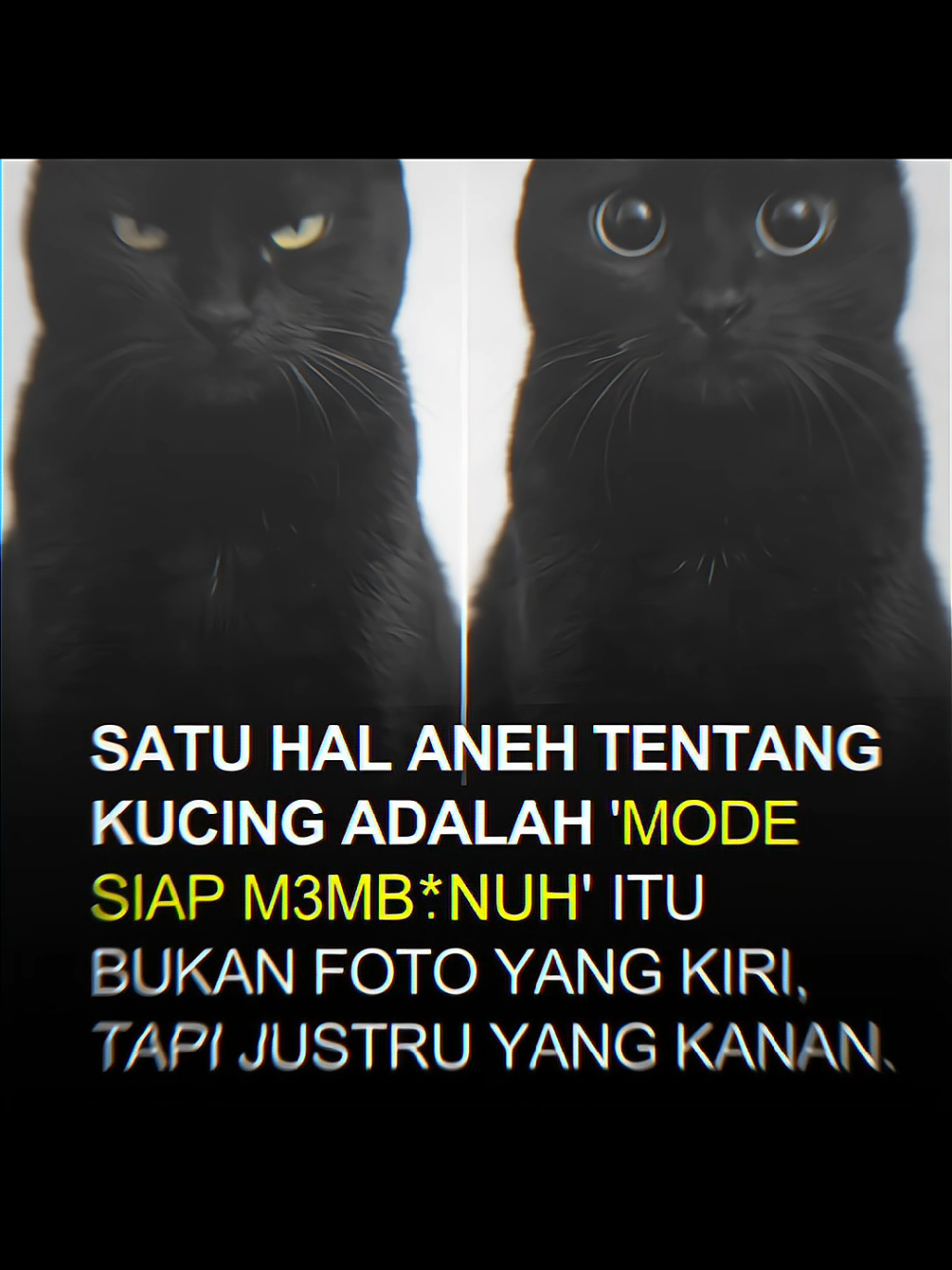 @๐๐ฎ๐ก๐๐ฃ ๐๐ ๐๐๐