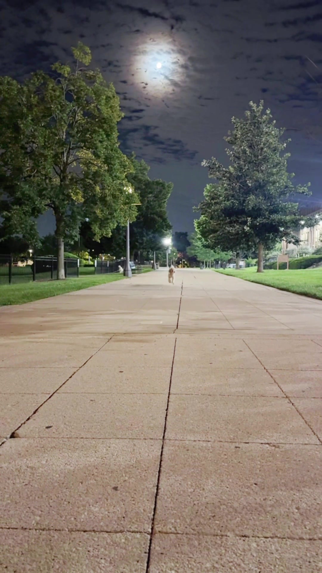@packwalkdiaries