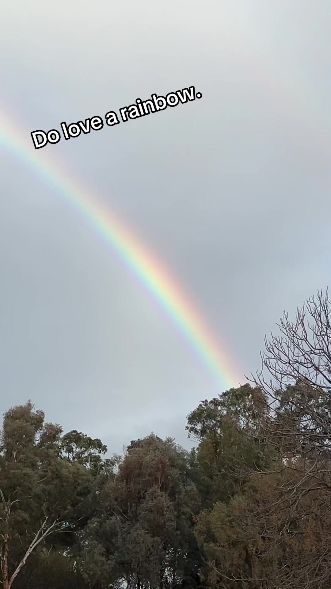@Savage Aussie