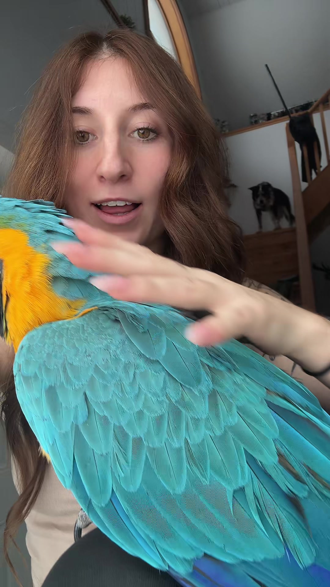 @Exotic Animals with Amanda