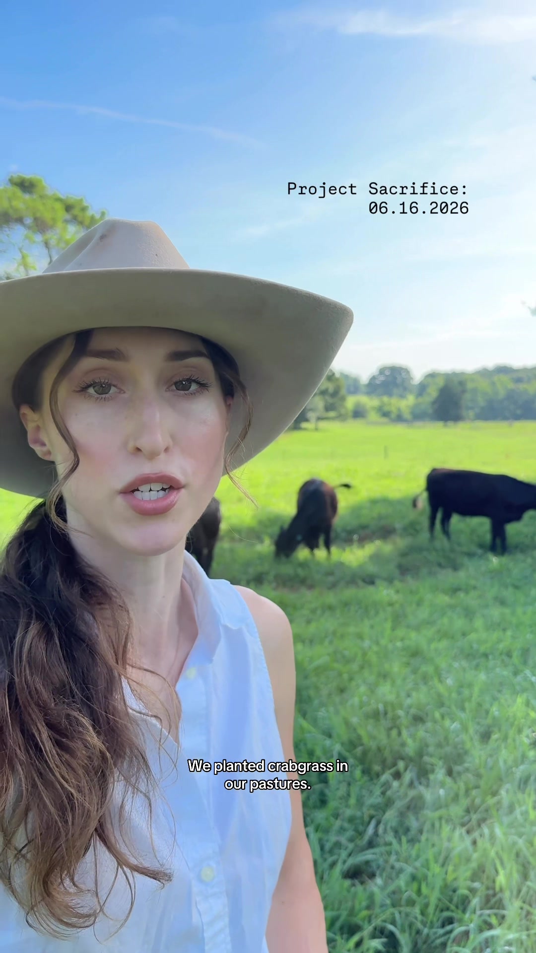 @Lily Hill Farm