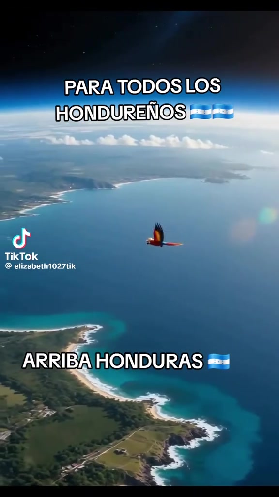 @Garrido Alex