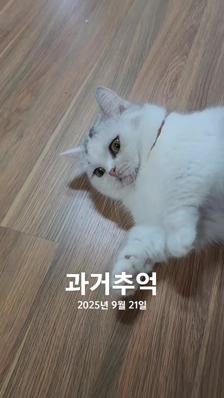 @박씨 거실