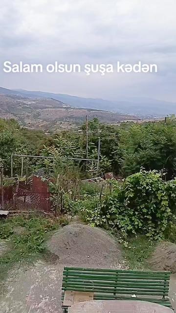 @🦅 『QALIB』🦅