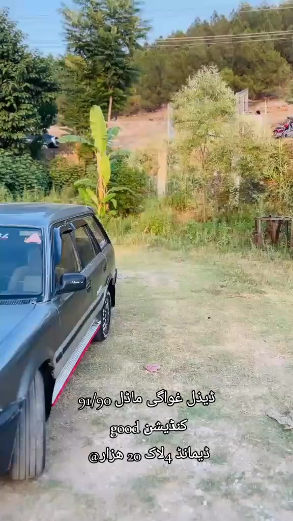 @ncpcarlover1