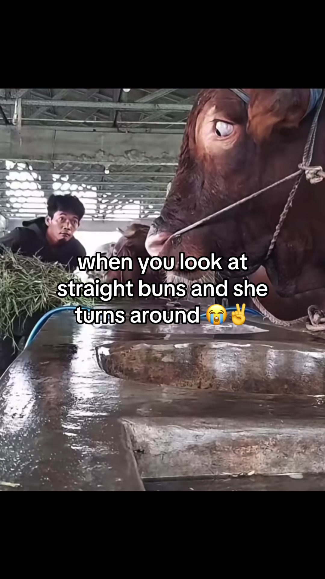 @memehub