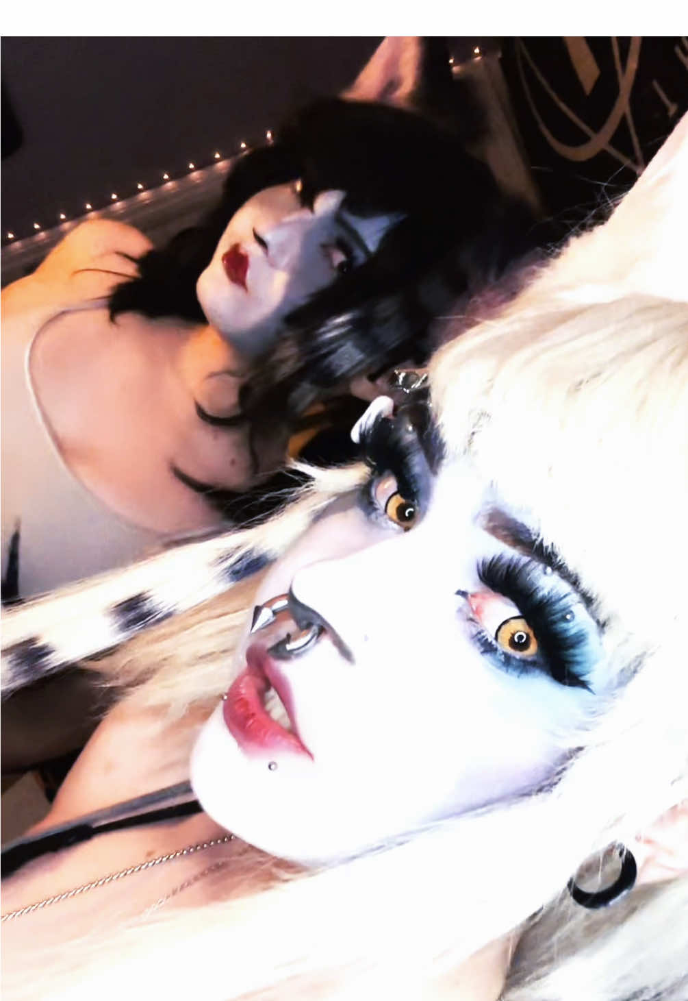 @☆ POUNCE