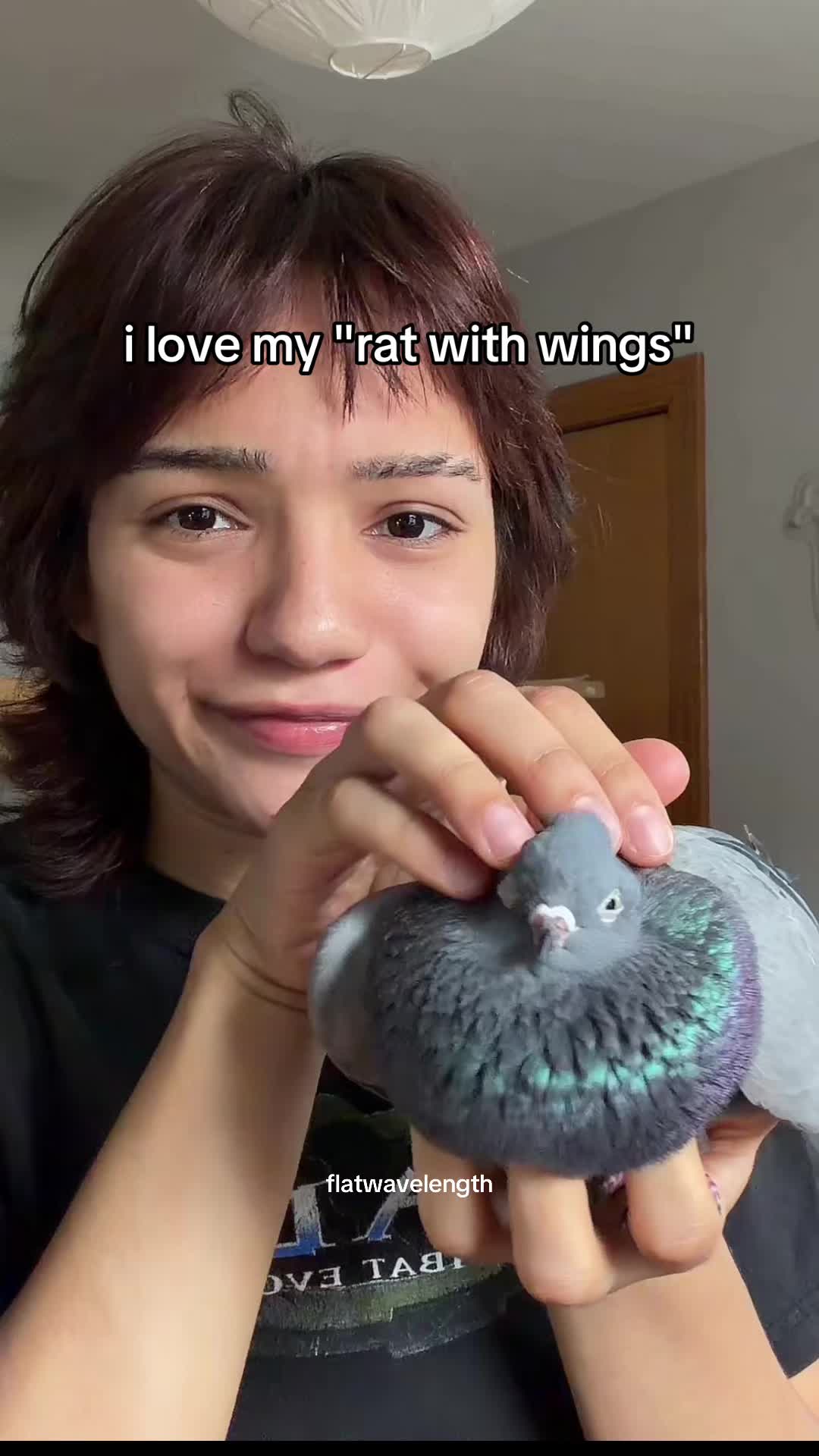 @flatwavelength