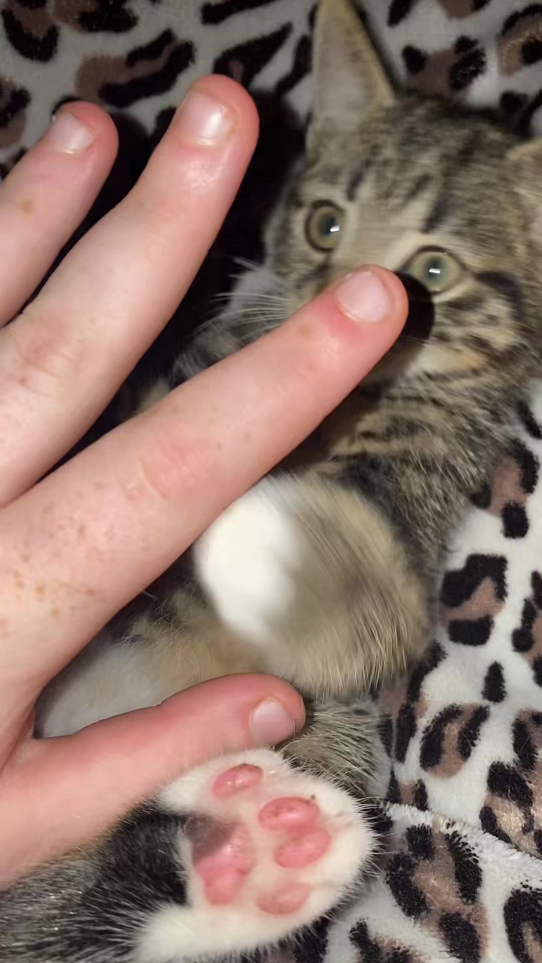 @K&auml;mpft M&auml;dchen um Leben ❤️&zwj;🩹