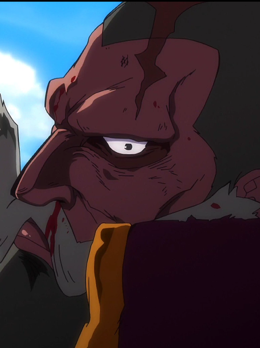 @One Piece ☠️