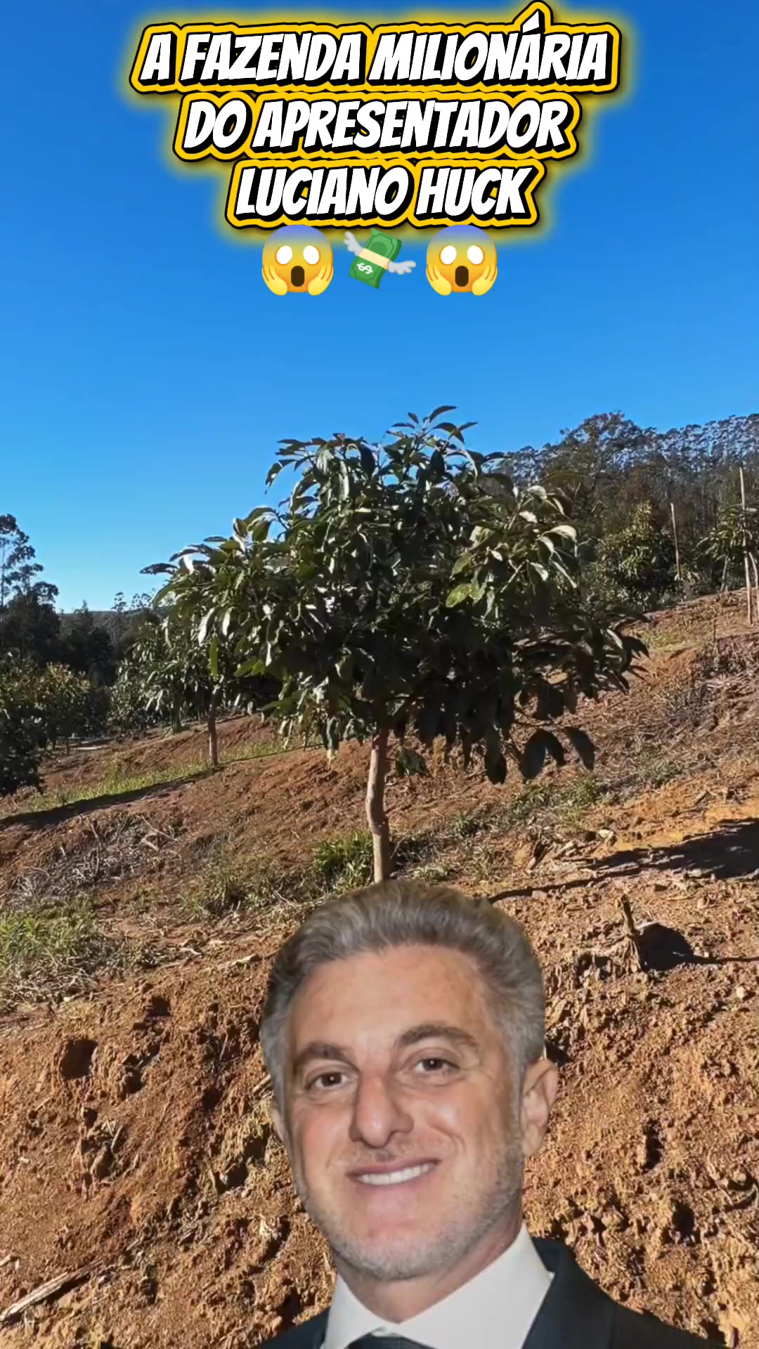 @altnews23