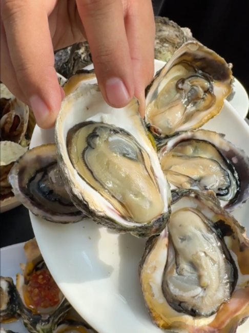 @haydolfoodtrip