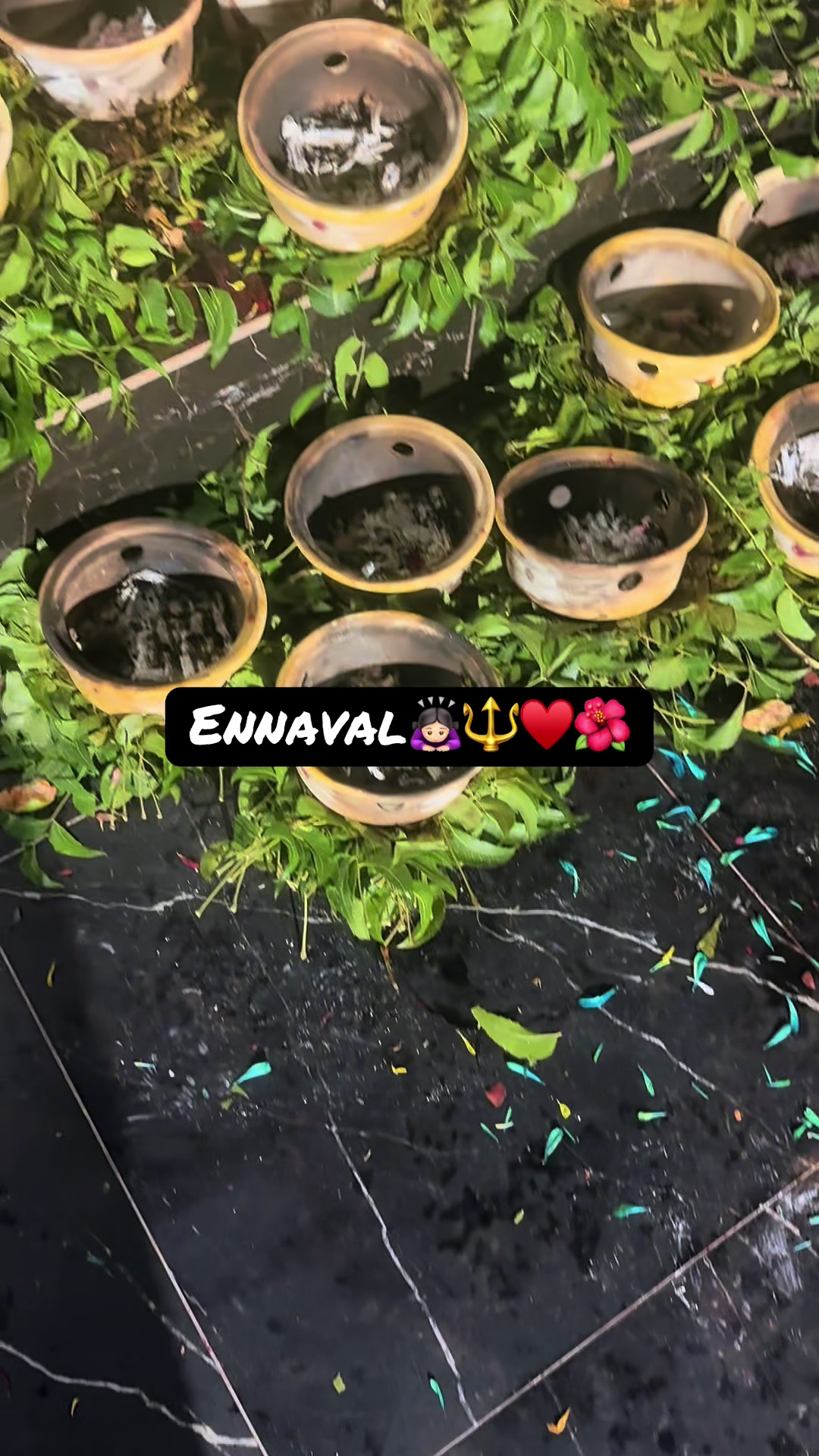 @约格斯瓦里·拉维钱德兰🕊
