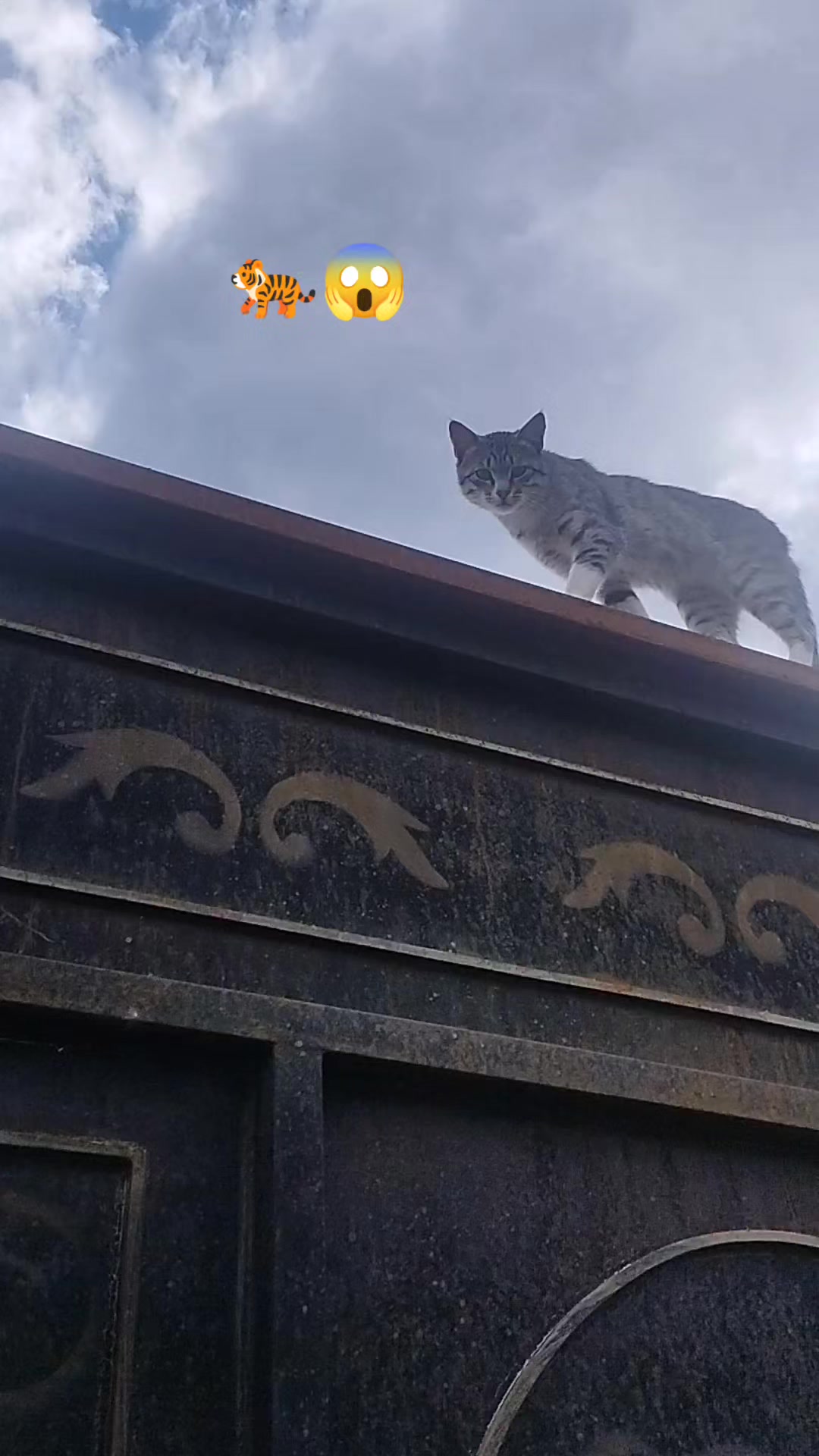 @Qeys_059