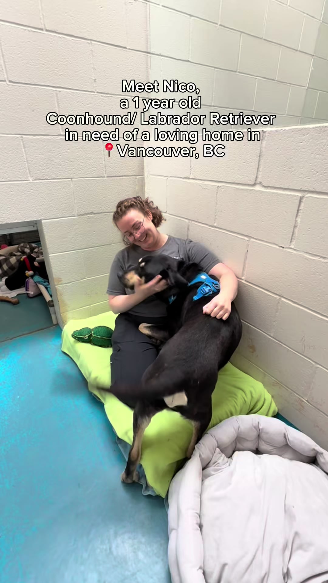 @BC SPCA