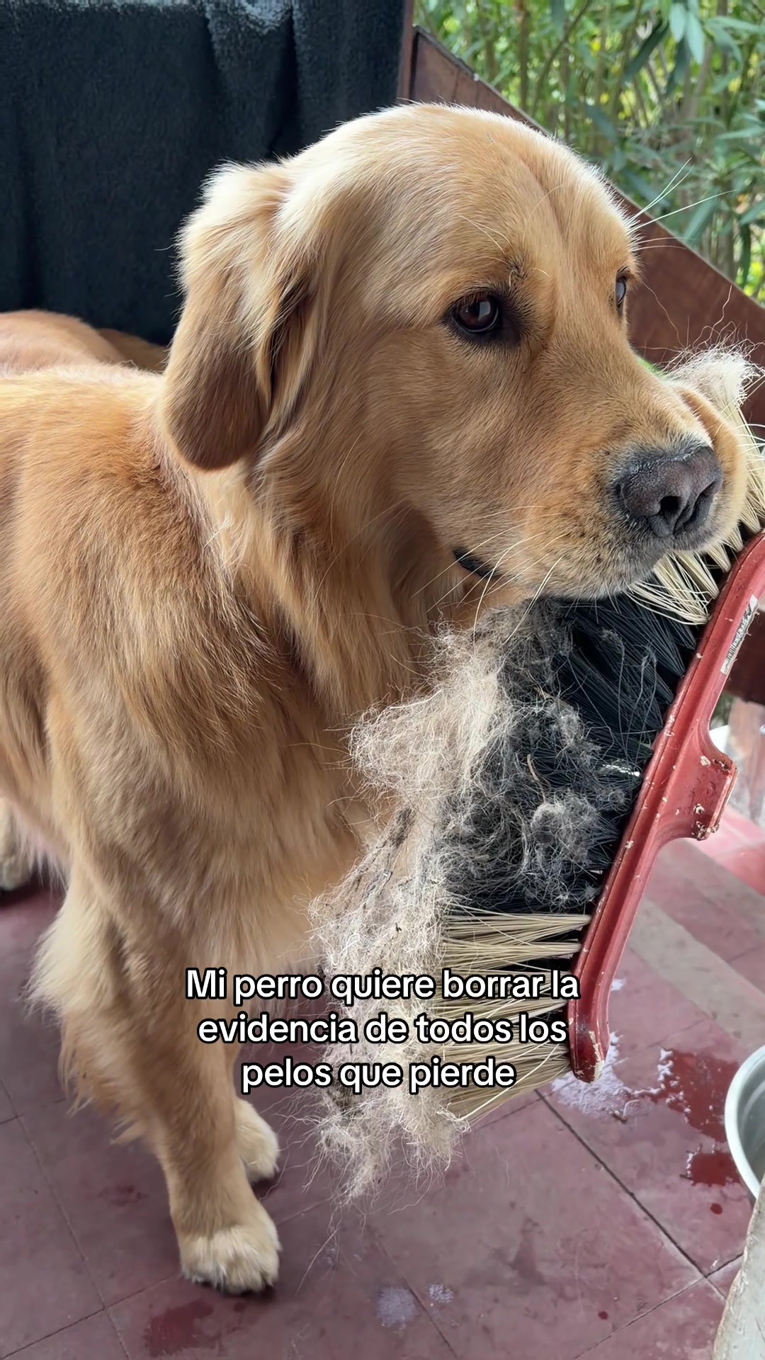 @Narco🐕🐾🐾