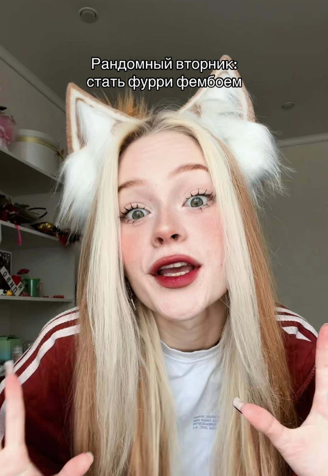 @КАТОКА
