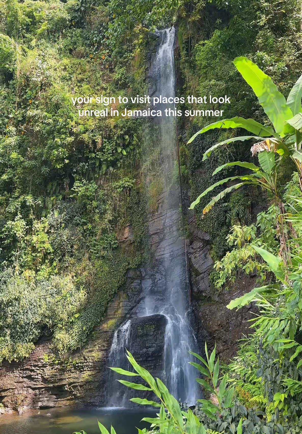 @Justin 🇯🇲