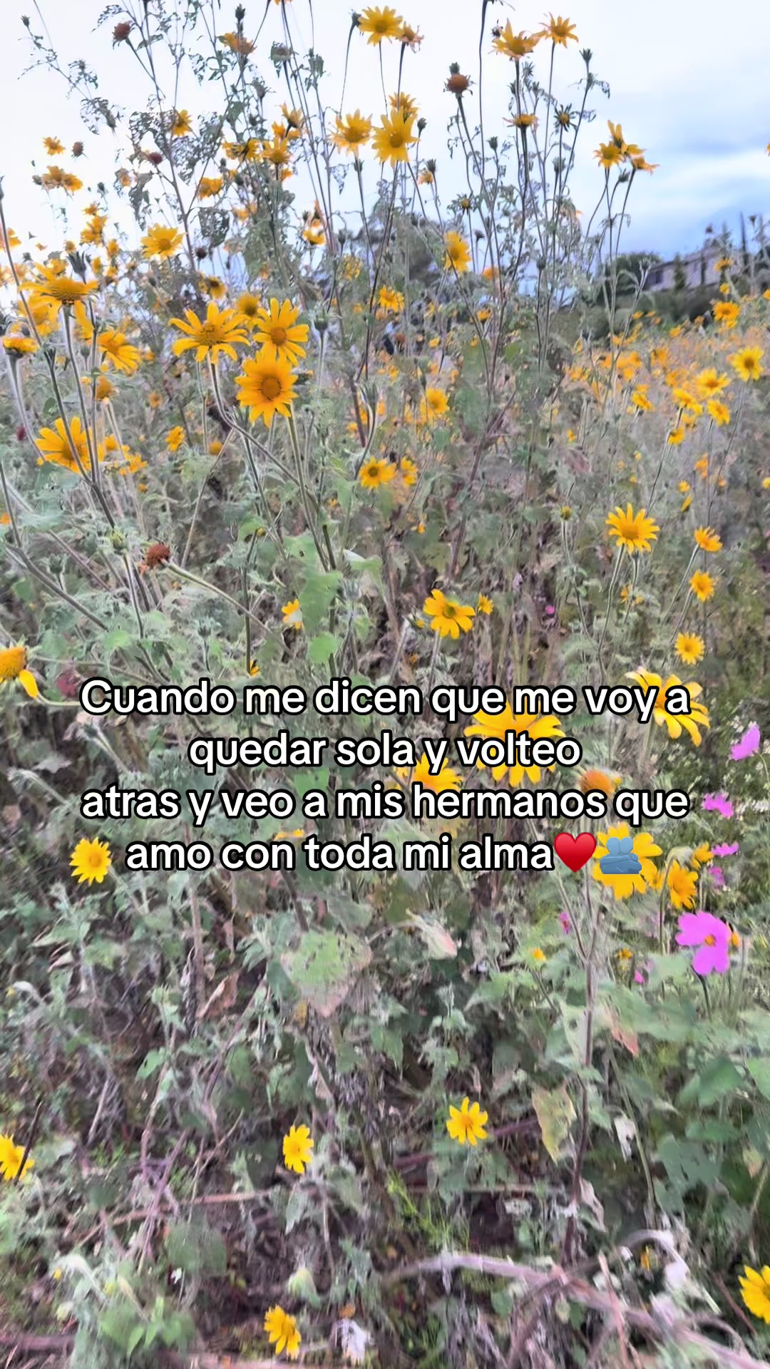 @_fuentesdom_