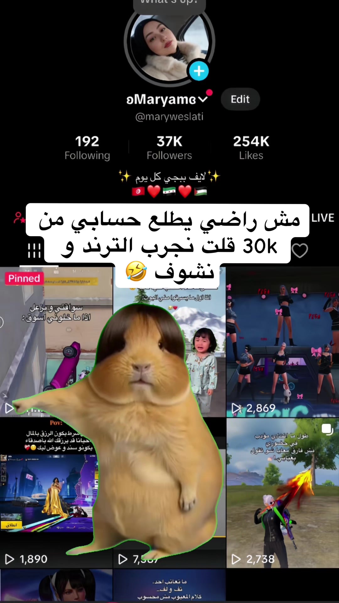 @ʚMaryamɞ