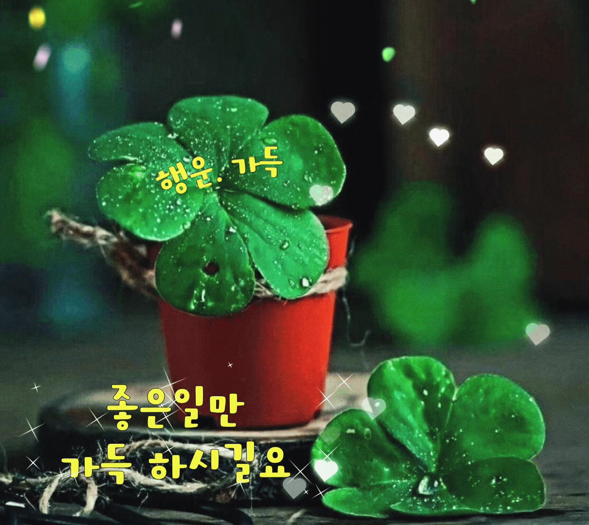 @마리0802