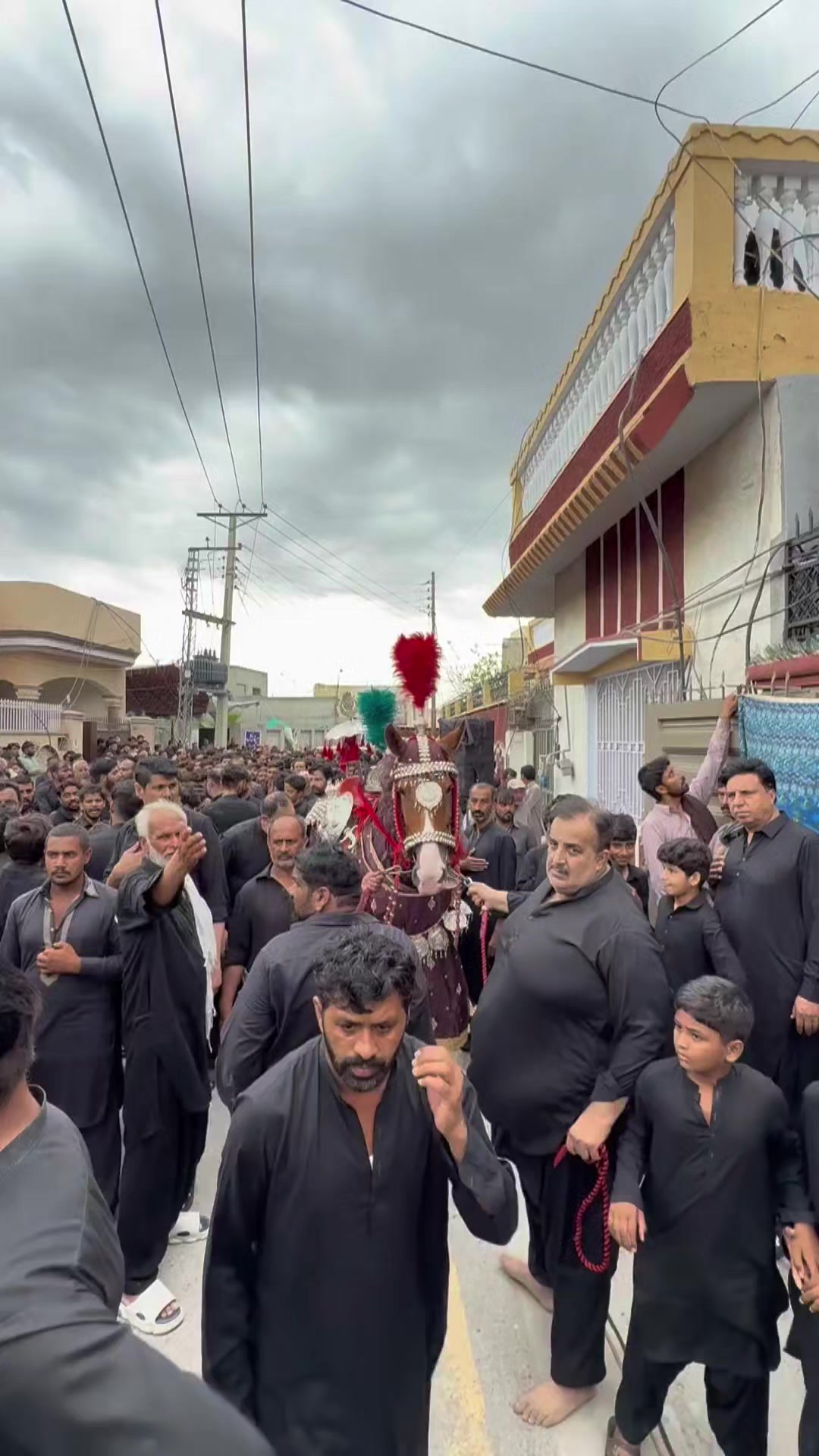 @مرکزی ذوالجناح تلہ گنگ