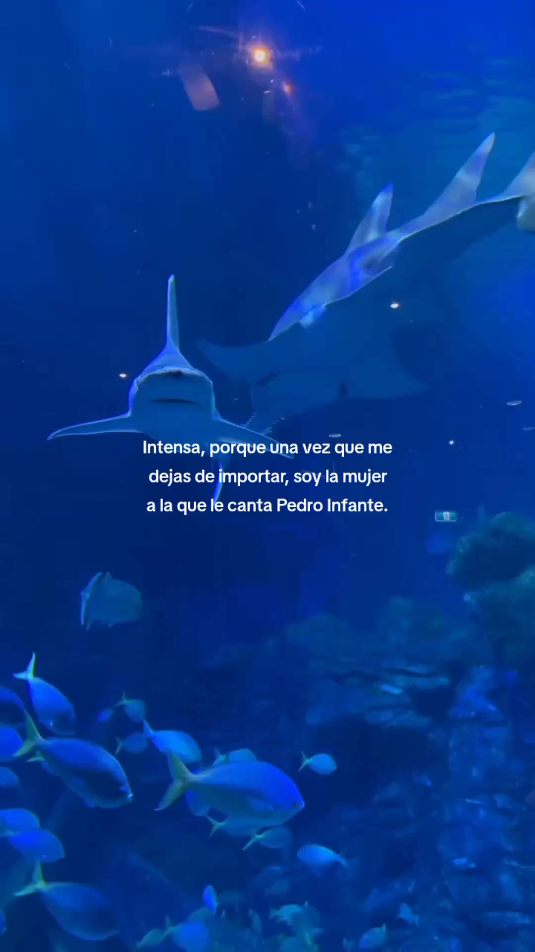 @Mariana