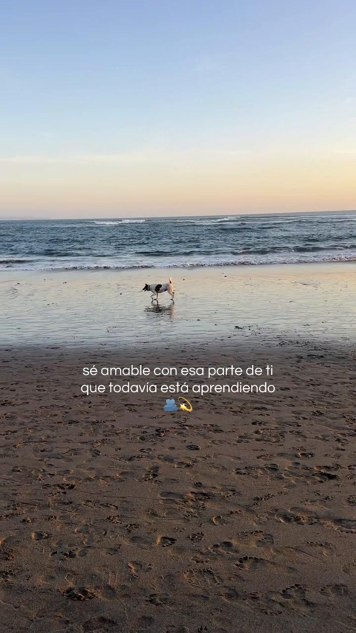 @MARTA🌸ENTRENO Y NUTRICIÓN🚺