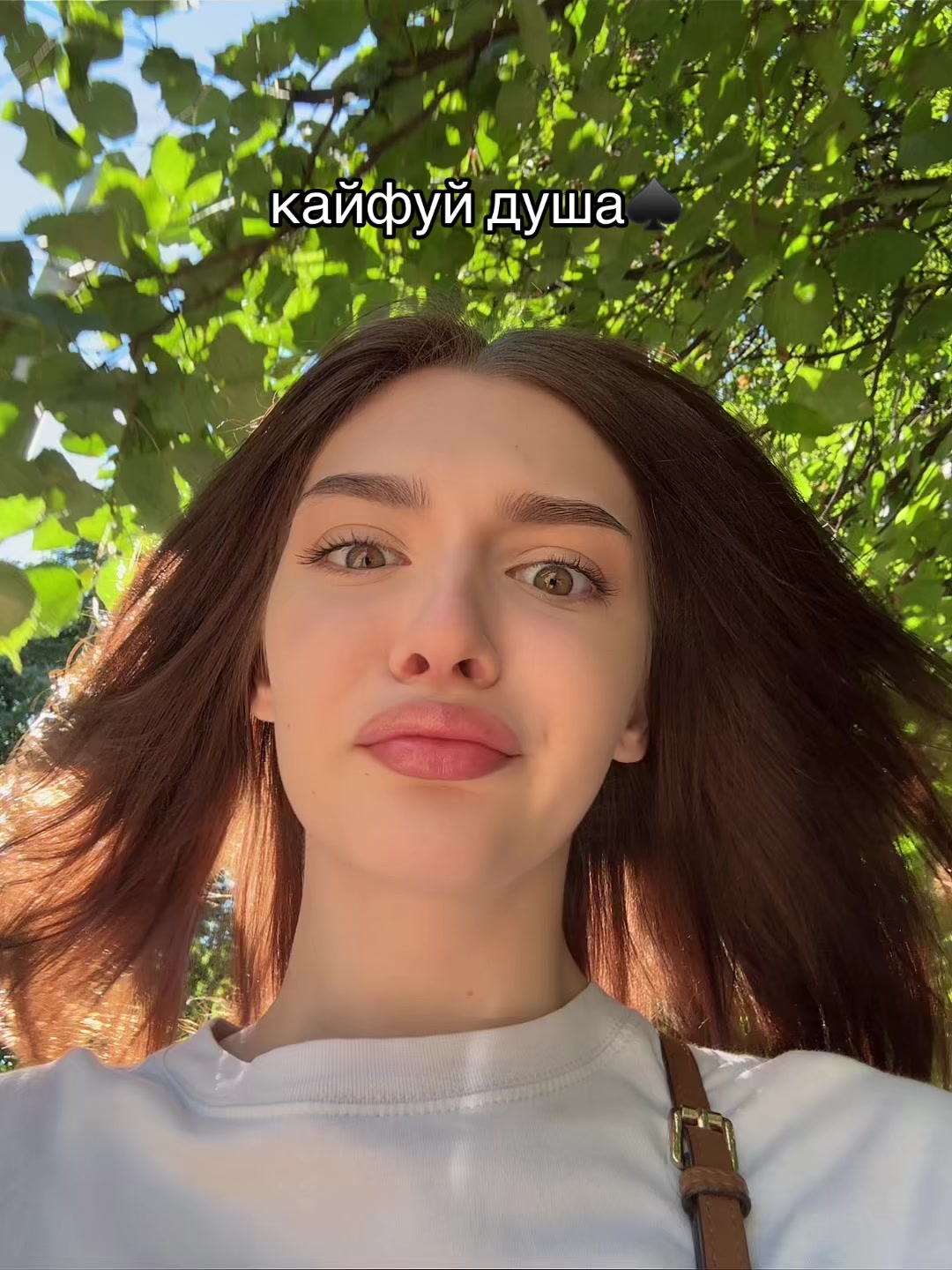 @t1nka 🇵🇹