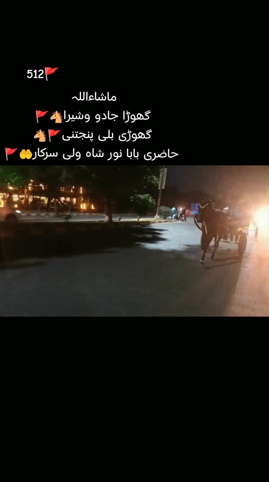 @🚩سردار شانی ڈوگر_512