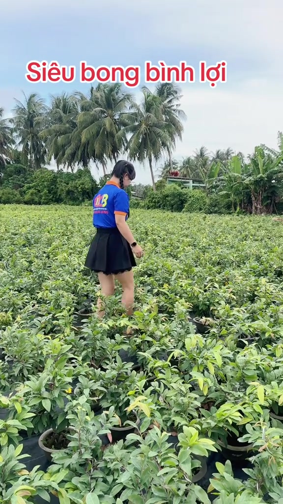 @Chichchoebong79